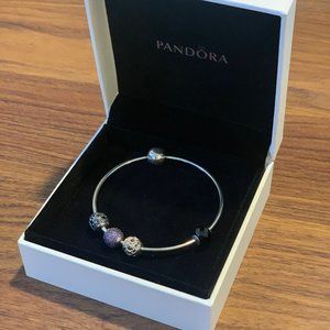 SOLD Pandora Moments Bangle w/ ESSENCE Charms
